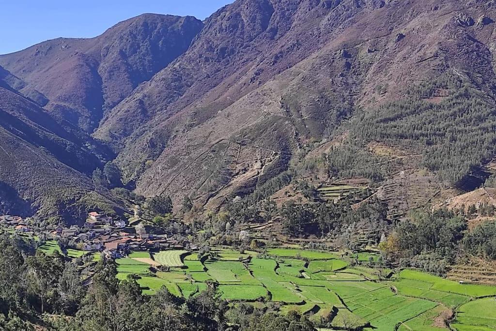 Casa Do Avo Ze Villa Covas do Monte Dış mekan fotoğraf